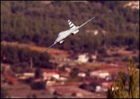 F5 CAM